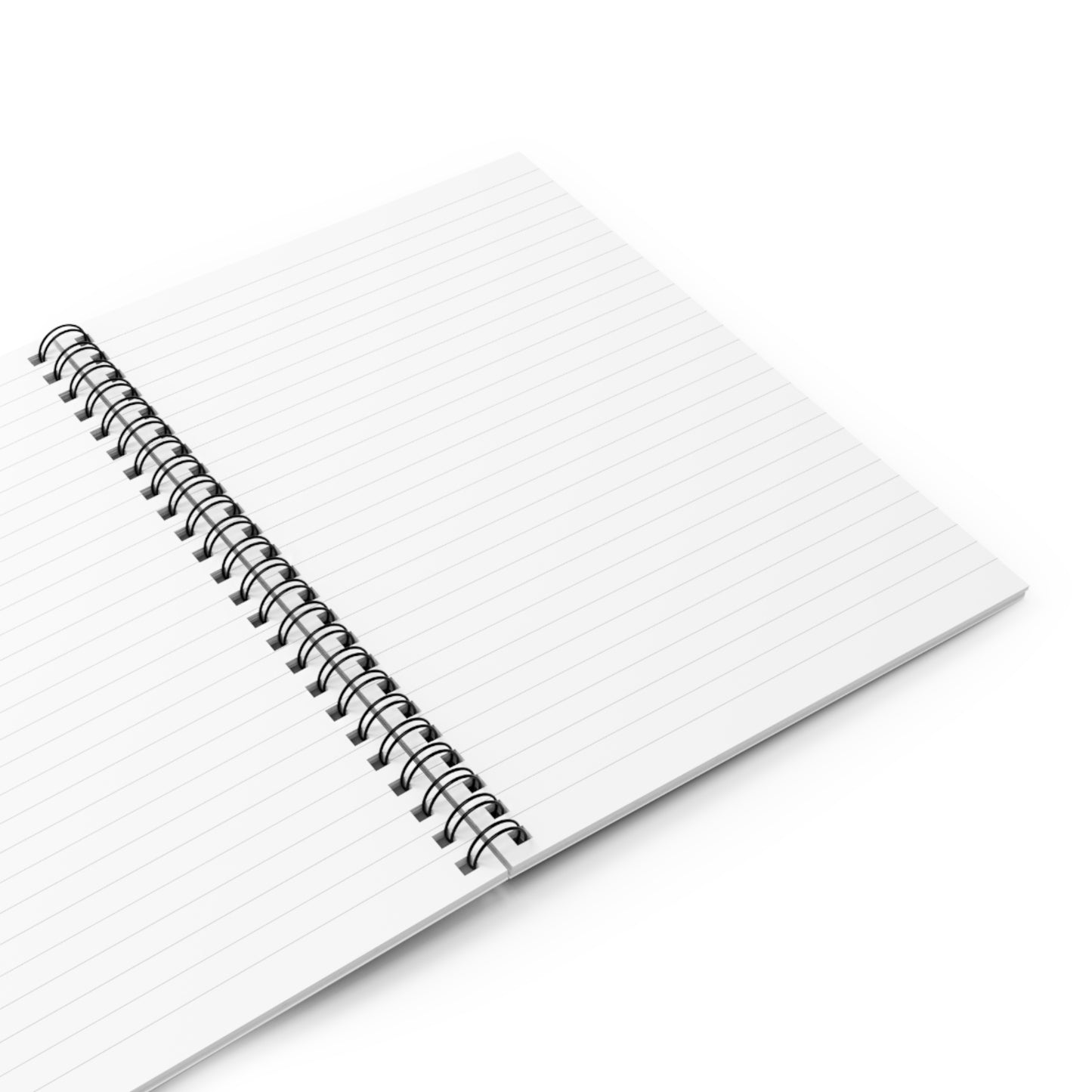 Write Your Future notebook